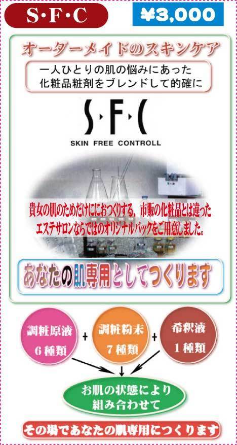 sfcオプション.jpg