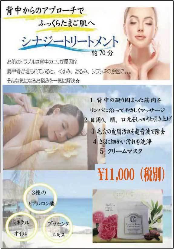 シナジートリートメント1.jpg