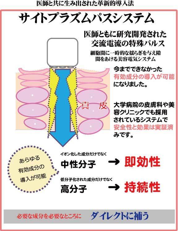 sサイトプラズマパス.jpg
