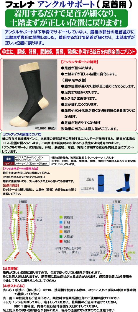 アンクルサポート.gif