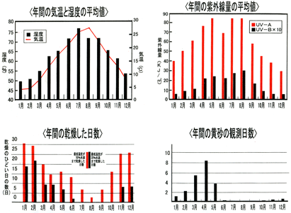 年間統計.gif